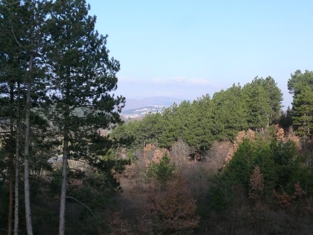 Bella Vista Apartments Ohri Dış mekan fotoğraf